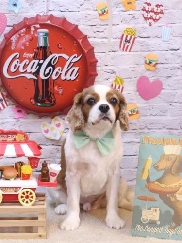 20230909ゲンキくん